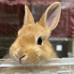 楽しい方(≧∇≦)