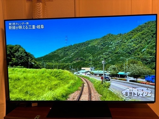 Panasonic 4K 有機ELテレビ55v型 VIERA TH-55GZ1000