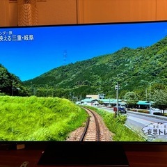Panasonic 4K 有機ELテレビ55v型 VIERA TH-55GZ1000の画像