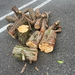 薪材無料　広葉樹　玉切　栃木県さくら市の画像