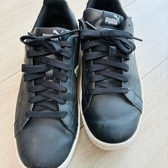 PUMA  24.5cmの画像