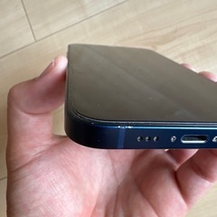 iPhone12 終了しました
  の画像