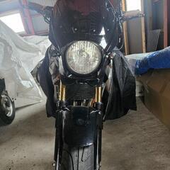 ホーネット250
