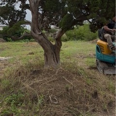 ⭐️大事な植木植え替え致します⭐️