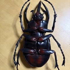 コーカサスオオカブト フィギア
の画像