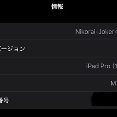 iPadPro 11インチ 第一世代 2018 256GB
の画像