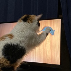 一緒に遊べる友達募集