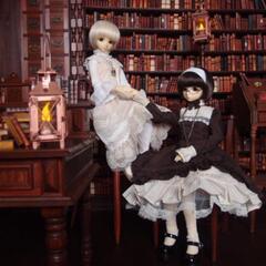 球体関節人形ドールセット（SD２体と備品いろいろ）