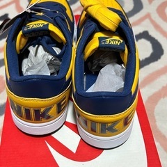 ナイキターミネーターの画像
