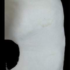 妊娠用抱き枕（無料でお譲りします）の画像