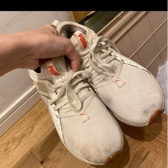 PUMA アイボリー　スニーカー　24.5の画像