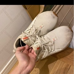 PUMA アイボリー　スニーカー　24.5の画像