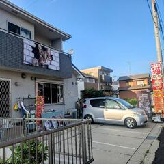 猫の無料相談を開催します - 春日井市