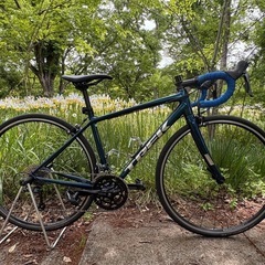 ロードバイクTREK DOMANE AL2 Rim