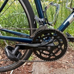 ロードバイクTREK DOMANE AL2 Rimの画像