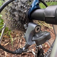 ロードバイクTREK DOMANE AL2 Rimの画像