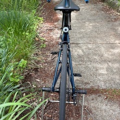 ロードバイクTREK DOMANE AL2 Rimの画像