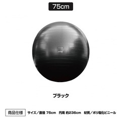バランスボールの画像