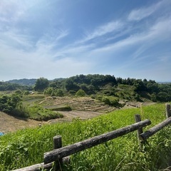 のんびりゆっくりできる相手がほしいです♪ - 友達
