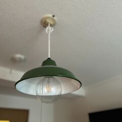 【お値下げしました！！】ペンダントライト グリーン＆IKEA 大きな電球　セットの画像