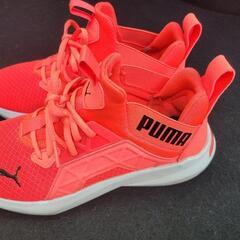 PUMAランニングスニーカーの画像