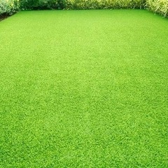 ⭐️芝生の管理は大変なので人工芝にしたい⭐️ - 剪定/造園
