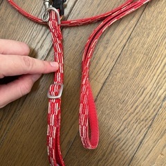 犬　リード　わんこ　和柄　の画像