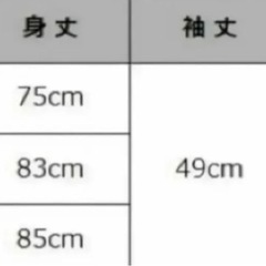 【新品】爽竹半襦袢　Lサイズ　定価:9350円の画像