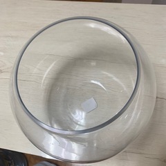 丸型ガラス水槽にもの画像