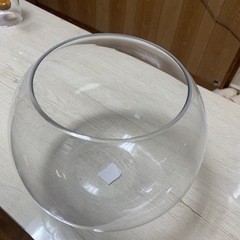 丸型ガラス水槽にもの画像