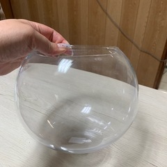 丸型ガラス水槽にもの画像