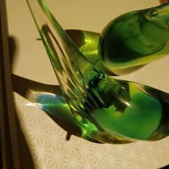 マルティグラス　鳥の画像