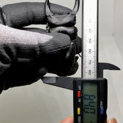 能勢YGオオクワガタ　♂83.5ミリ♀56.5ミリ　1ペア未使用  即ブリ可能個体の画像