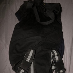 リュックになるトートバッグ差し上げます。の画像