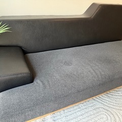 イットソファ/2.5人掛けソファ/クラッシュゲート/関家具　の画像