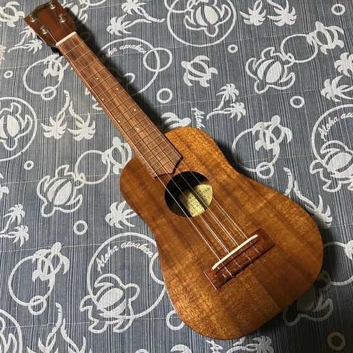 Ceniza T&K セニーザ コア コンサートウクレレ アランフェスケース付