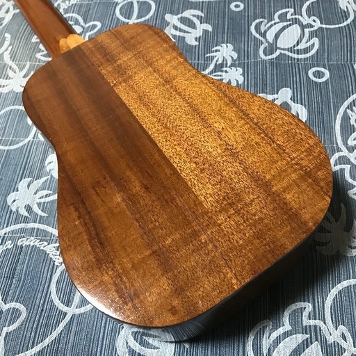 Ceniza T&K セニーザ コア コンサートウクレレ アランフェスケース付