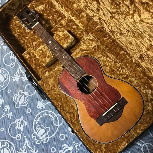 超レア 世界に1本 1971 マーチン T-18 Tiple 4弦コンバージョン ハードケース付