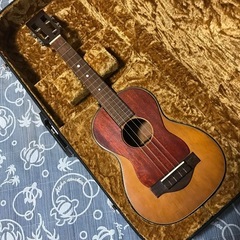 超レア 世界に1本 1971 マーチン T-18 Tiple 4...