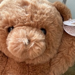 【新品】クマ ぬいぐるみの画像