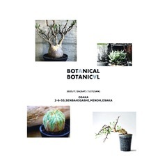 植物仲間募集中🪴7月26日BOTANICAL BOTANICAL