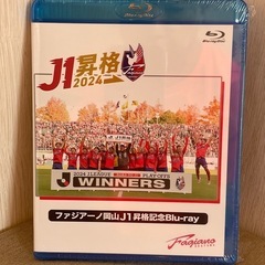 ファジアーノ岡山J1昇格記念Blu-ray未開封品 ファジアーノ岡山J1昇格記念Blu-ray 未開封品 (カフェモカ) 東