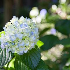 一緒に写真を撮りに行きませんか？