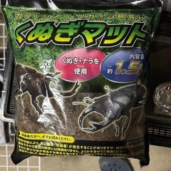 カブトムシの画像
