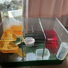 ハムスター🐹ゲージ
