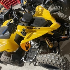 can-am ds250 バギー