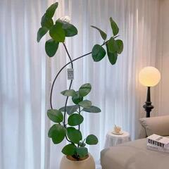 植木鉢 中型 軽量 おしゃれ 未使用の画像