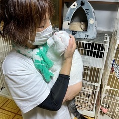 不要になった猫さんのベッド譲ってください！