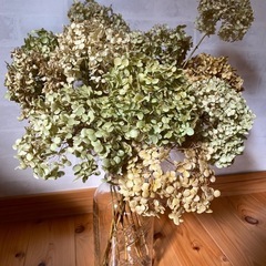 メイソンジャー正規品Ball  ①