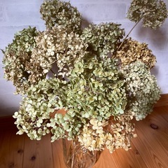 メイソンジャー正規品Ball  ①の画像